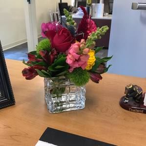 Meet your Posher, Patsy